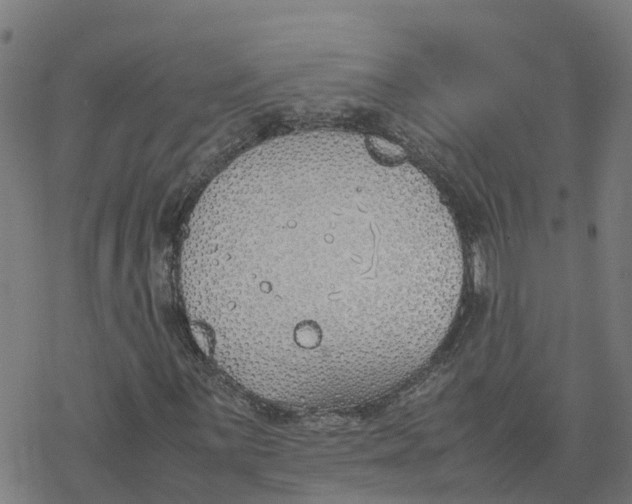 X0000077281059200611101312