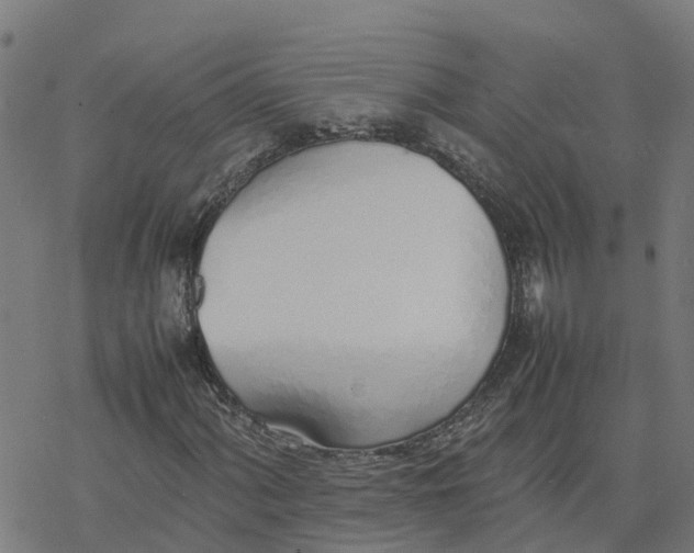 X0000077281060200611101312