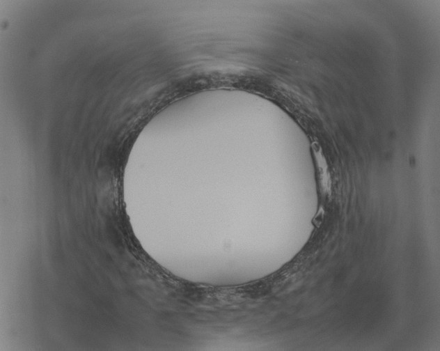 X0000077281061200611101312