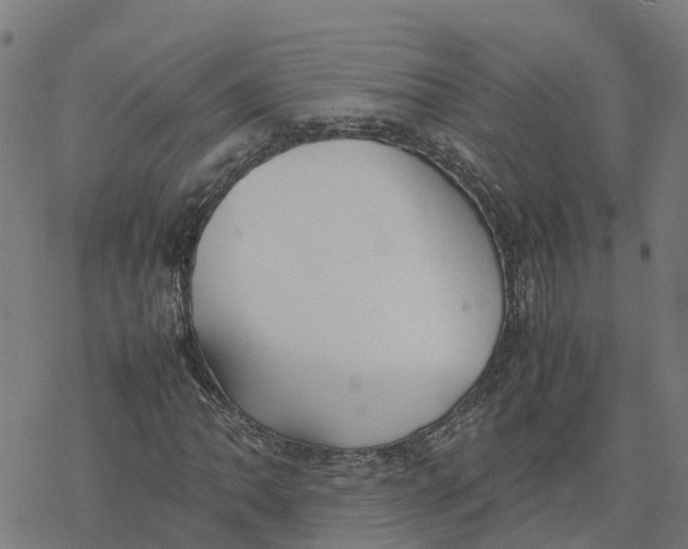 X0000077281062200611101312