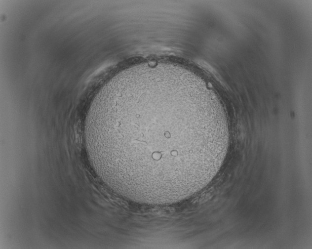 X0000077281063200611101312