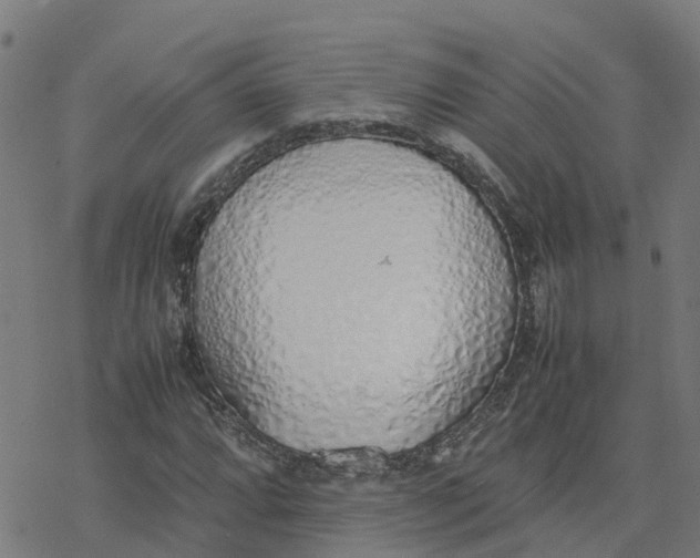 X0000077281064200611101312