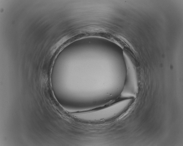 X0000077281065200611101312