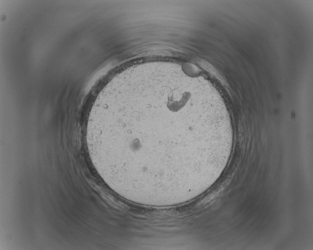 X0000077281067200611101312