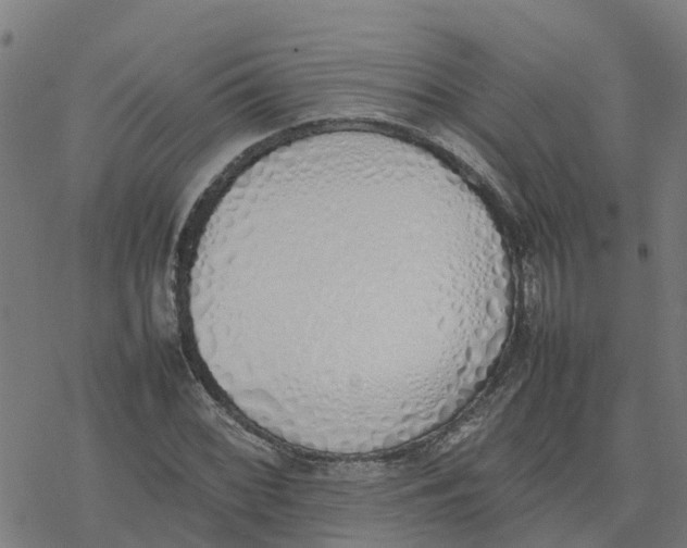 X0000077281068200611101312