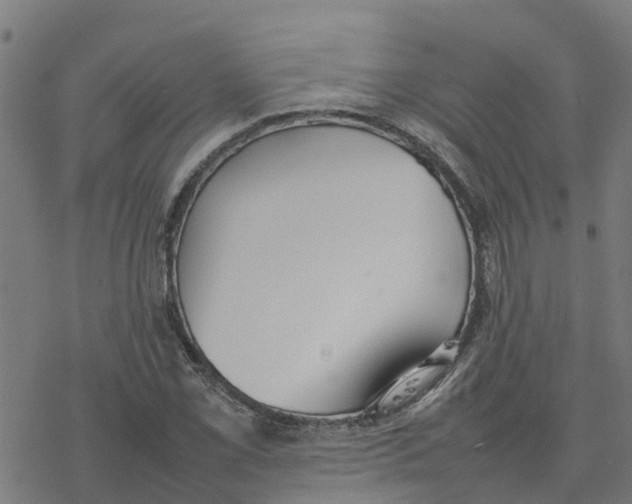 X0000077281069200611101312