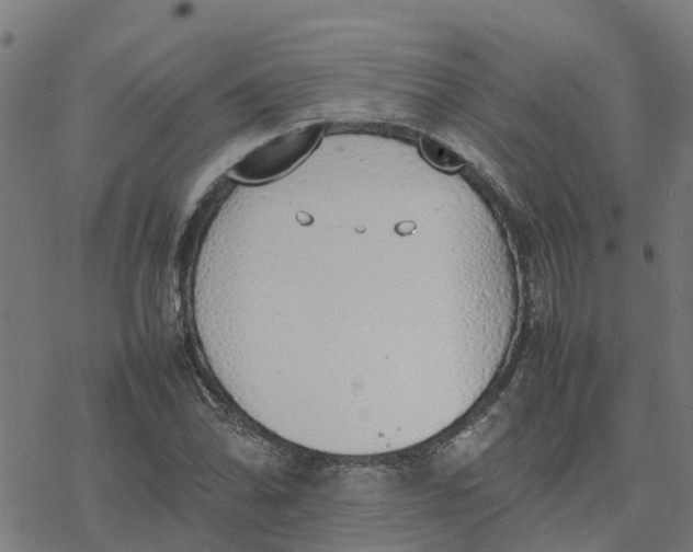 X0000077281070200611101312