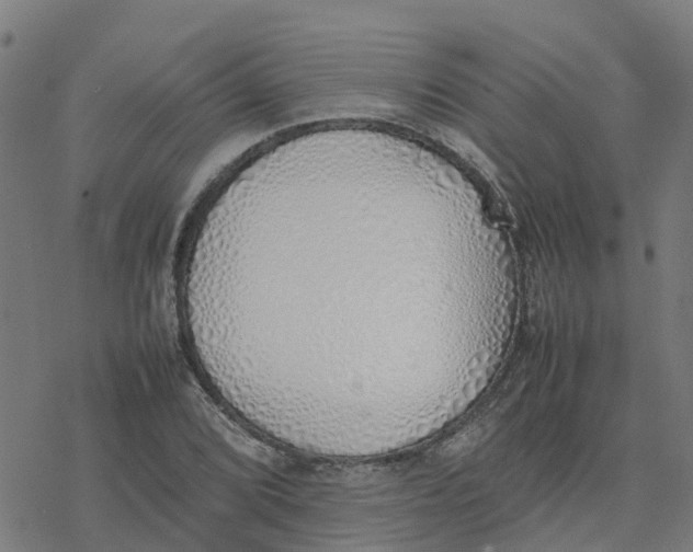 X0000077281072200611101312