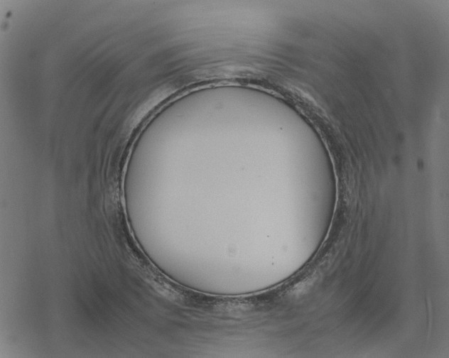 X0000077281073200611101312