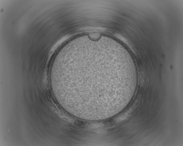 X0000077281074200611101312