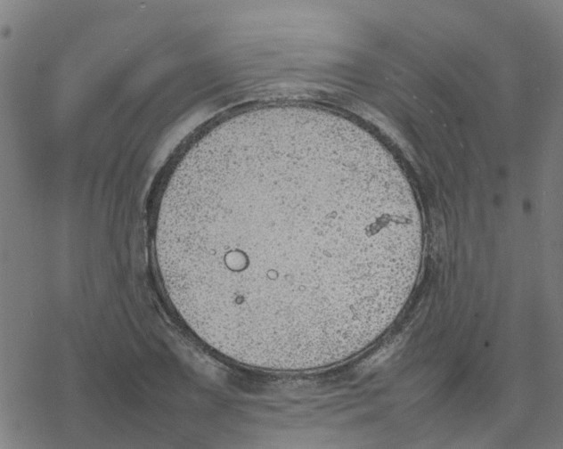 X0000077281075200611101312