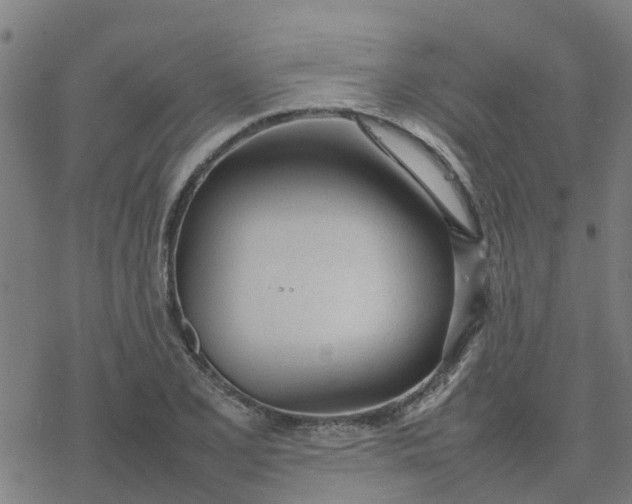 X0000077281077200611101312