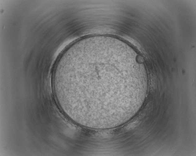 X0000077281078200611101312