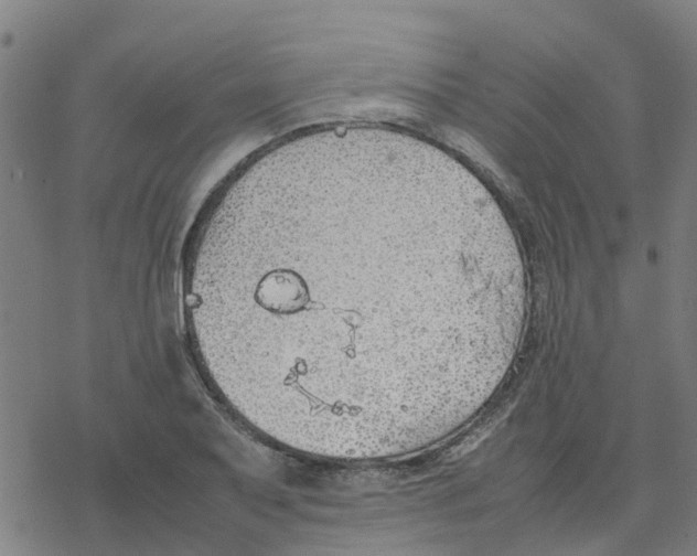 X0000077281079200611101312