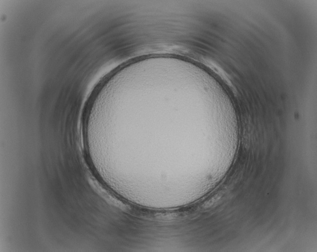 X0000077281080200611101312