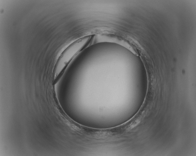 X0000077281081200611101312