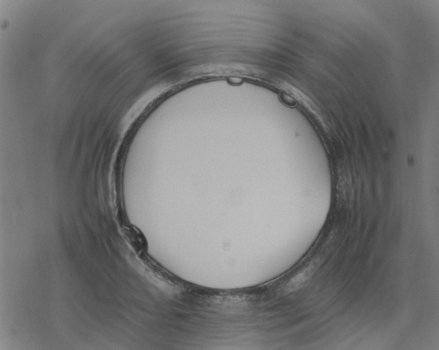 X0000077281082200611101312