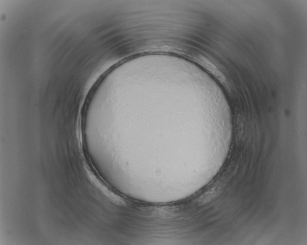 X0000077281084200611101312