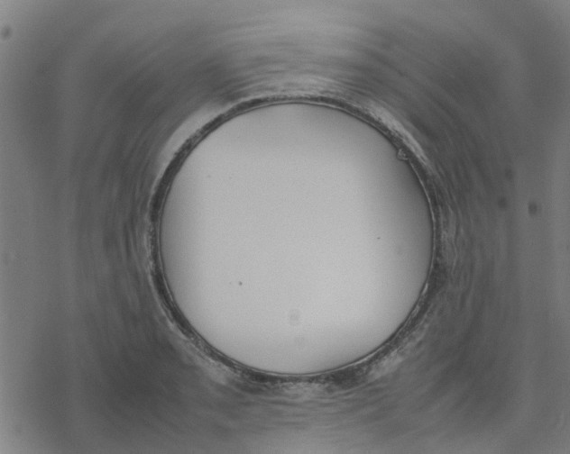 X0000077281085200611101312