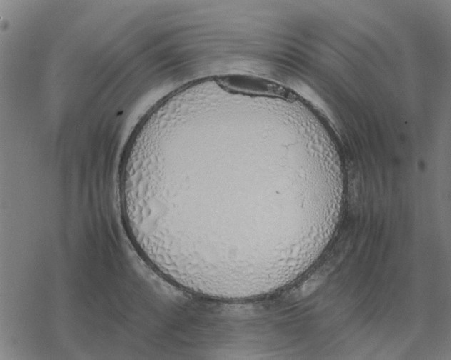 X0000077281088200611101312