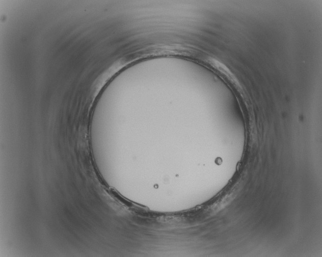 X0000077281089200611101312