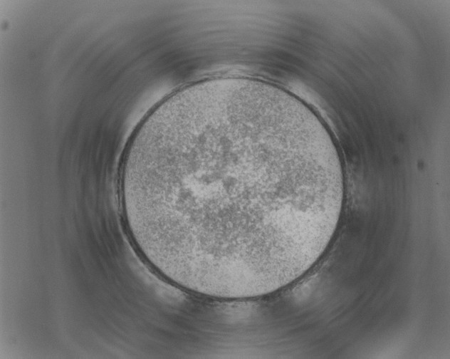 X0000077281090200611101312