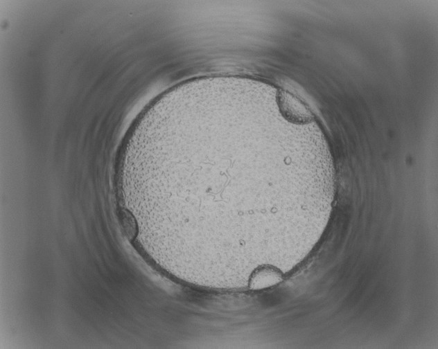 X0000077281091200611101312