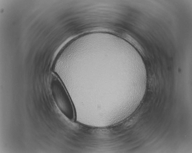 X0000077281092200611101312