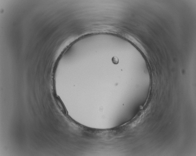 X0000077281093200611101312