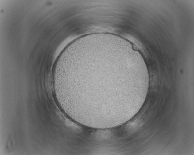 X0000077281094200611101312