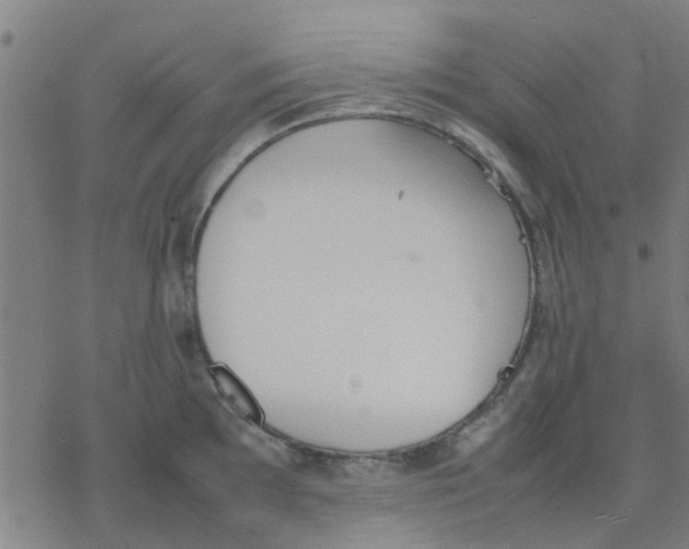 X0000077281097200611101311