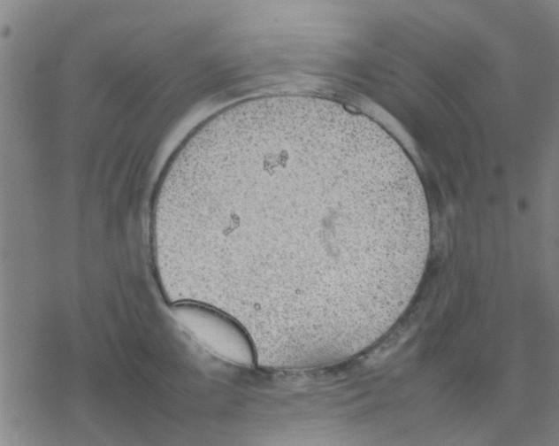 X0000077281099200611101311