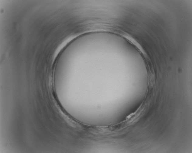 X0000077281101200611101311