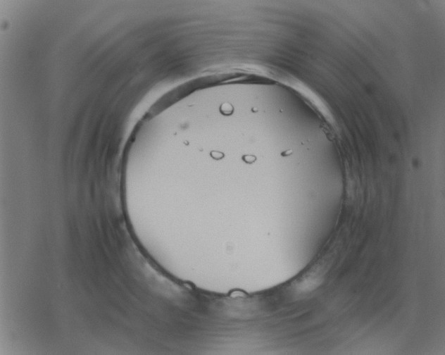 X0000077281102200611101311