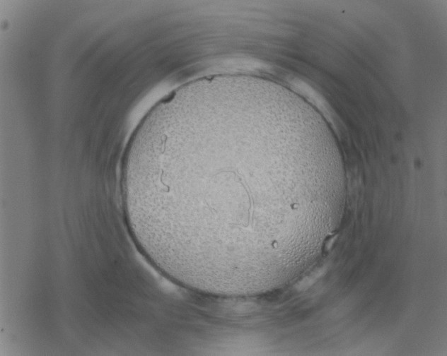 X0000077281103200611101311