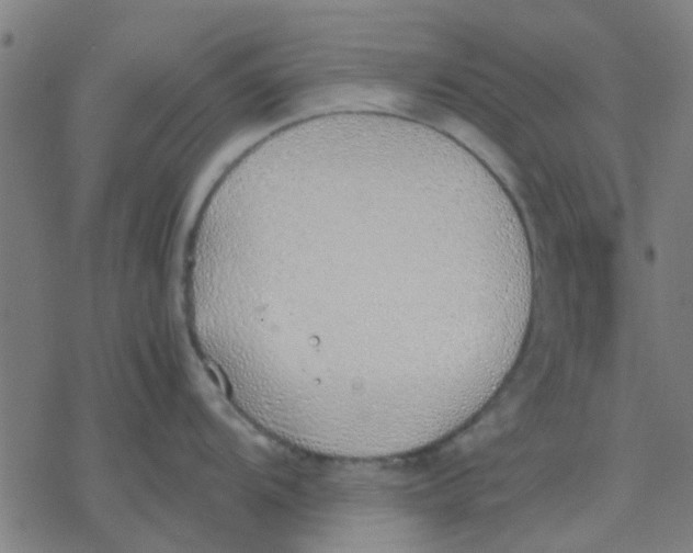 X0000077281104200611101311