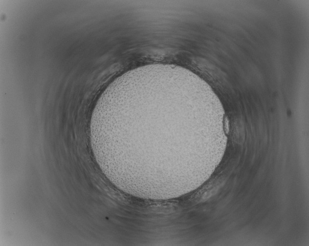 X0000077281105200611101311