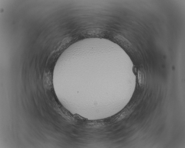 X0000077281107200611101311