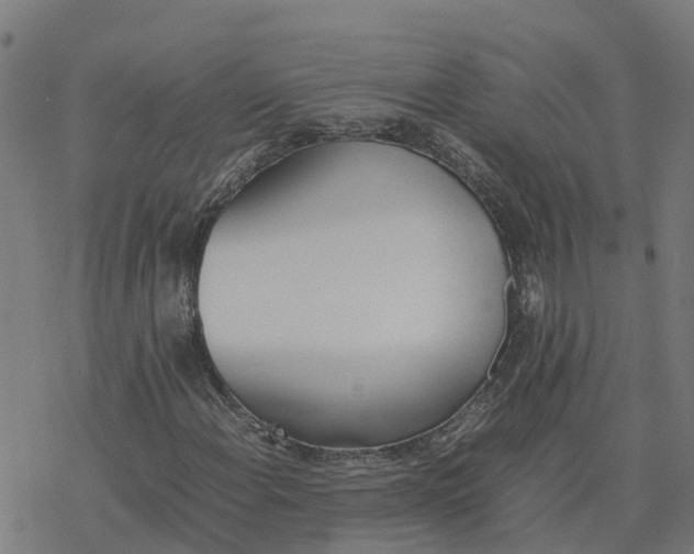 X0000077281108200611101311