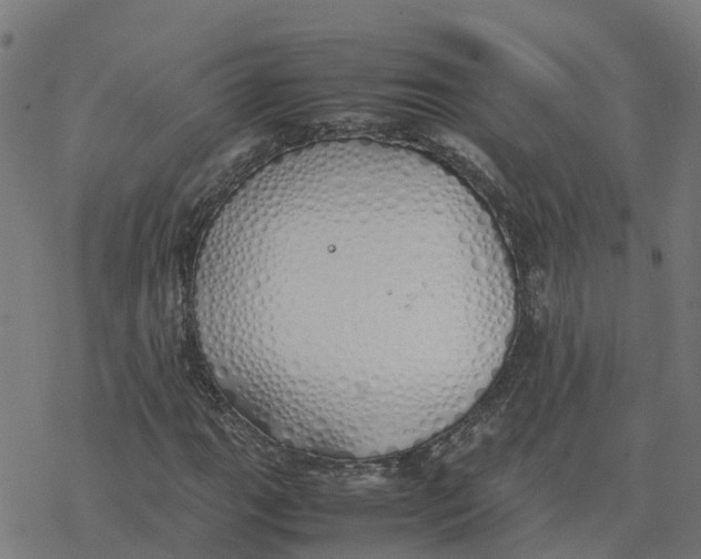 X0000077281111200611101311