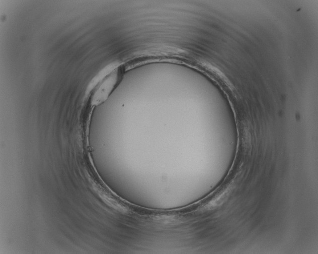 X0000077281114200611101311