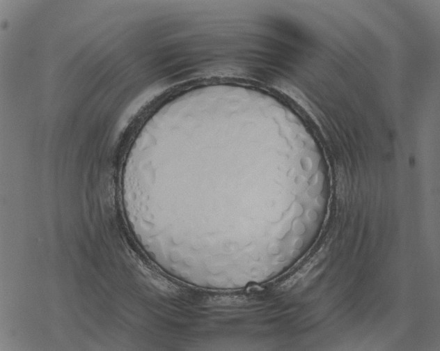 X0000077281115200611101311