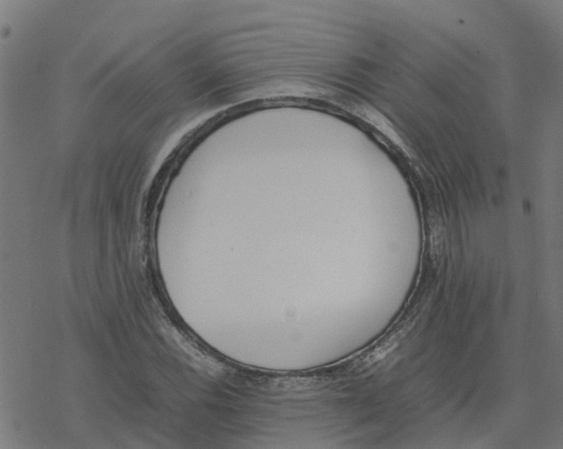 X0000077281116200611101311