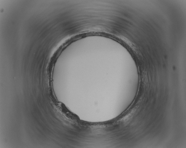 X0000077281118200611101311