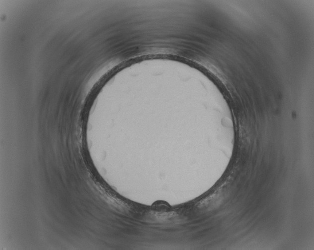 X0000077281119200611101311