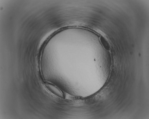 X0000077281120200611101311