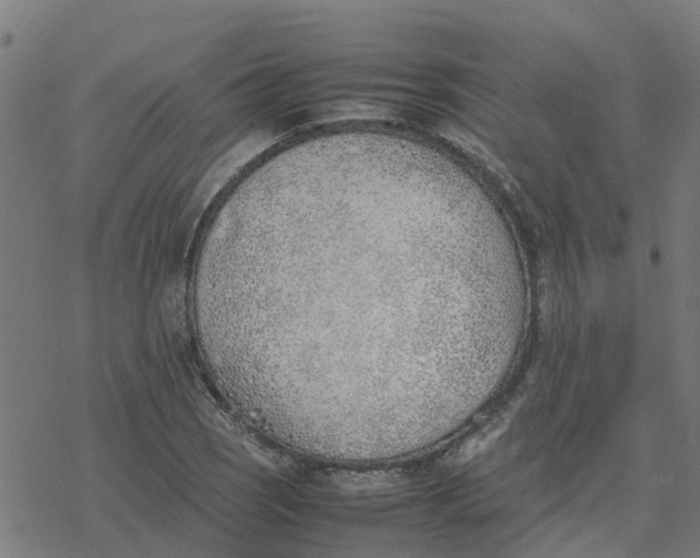 X0000077281121200611101311