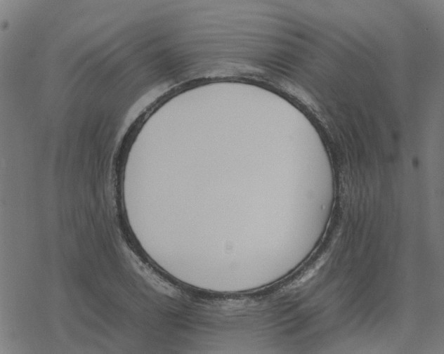 X0000077281122200611101311