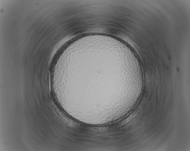 X0000077281123200611101311