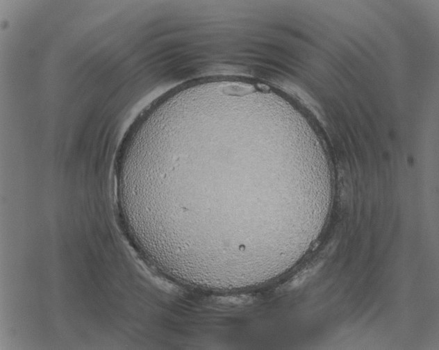 X0000077281125200611101311